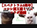 コロシ屋Ｘ猫ミームコラボ動画