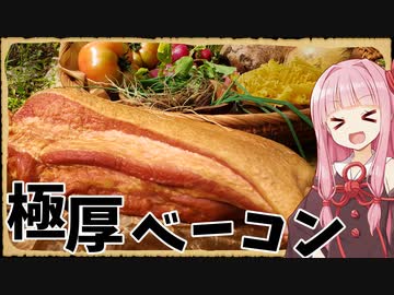 【異世界飯】プレートからはみ出すほどのベーコンをドーン！【超ボイロキッチン投稿祭】