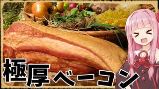 【異世界飯】プレートからはみ出すほどのベーコンをドーン！【超ボイロキッチン投稿祭】