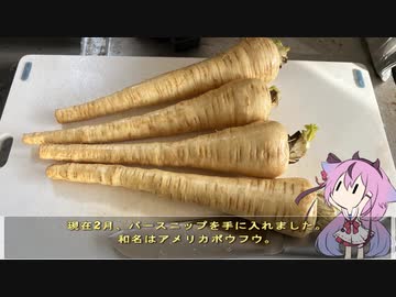 珍食材が食べたい！#184 パースニップのポタージュ