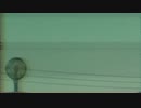 m・o・e    /   異次元進化ぱん