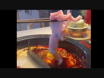 ホモと見る活きが良すぎる火鍋