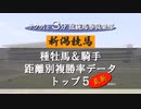 血統馬券俱楽部 新潟競馬データ2024.4 UP