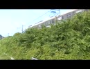 第一妙楽寺橋梁で撮る113系カフェオレ色