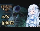 【バルダーズゲート3】雪さんとバルダーズ・ゲート3　Part30【VOICEVOX実況】