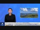 アンティグアの新経済特区、軍事的野心を隠すためにビジネスを利用する中国