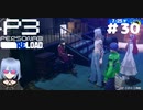 【ネタバレ注意！ペルソナ3RELOAD#３０】夏なのに厚い服を着てる人と上半身裸の人【初見実況】