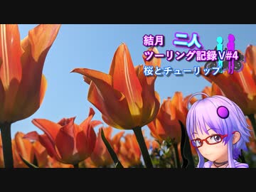 【結月ゆかり車載】結月二人　ツーリング記録V#4 桜とチューリップ