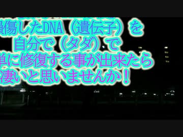 誰でも簡単にDNAの修復が出来るとしたら...解毒との相乗効果は期待大かもよ！