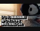 【ペンギン動画投稿祭】超ペンギン大学を勝手に告知してみた