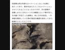 オチェレチノ陥落の内幕　ウクライナ軍第47独立機械化旅団 中隊長の嘆き