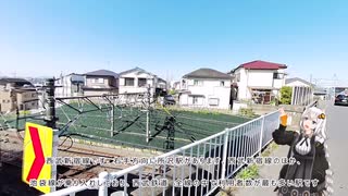 紲星あかりが行く、所沢桜並木 １秋津町３丁目～所沢街道