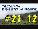 #21-12 エルデンリングを 初見で【協力プレイ】するのです