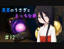 【LASTEVIL】真夏のうさぎとえっちな夢#12【VOICEVOX実況】