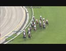 2011 テレビ東京杯青葉賞(GII)　ウインバリアシオン