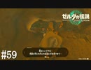 【ゼルダの伝説 Tears of the Kingdom】あなたも世界を救えばこうなれますよ【実況】#59