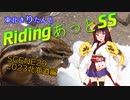 東北きりたんとRidingあっとSS　SCENE29【2023北海道編　02わたしは一向にかまわんッッ】