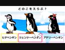 第72位：【ペンギン動画投稿祭】ペンギン恋愛シミュレーションゲーム（子ども向け＋大人向け）