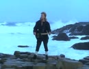 A Flock Of Seagulls - The More You Live, The More You Love
