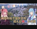 満開の桜で誕生日を祝えた姉妹のお話