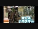 赤ちゃんなまず飼育日記 316日目