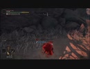 エルデンリング　侵入　脳筋