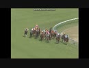 2010 テレビ東京杯青葉賞(GII)　ペルーサ