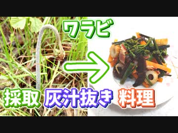 楽しい美味しいワラビ採り♪
