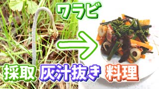 楽しい美味しいワラビ採り♪