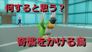 【好きなポケモンで勝ちたい】マジで何してくるかわからない「イキリンコ」の奇襲性能が高すぎてめっちゃ楽しい！！【ポケモンSV】