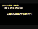 紅子の宇宙船 －音声版－ 2024年04月25日