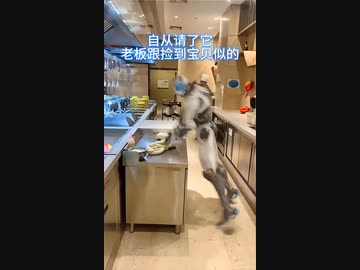 ホモと見るこねこねするロボ