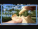 【VLOG】お金がないのでピクニックに行きます