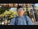 ニンポー（千代豊和）　お散歩