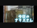 赤ちゃんなまず飼育日記 317日目