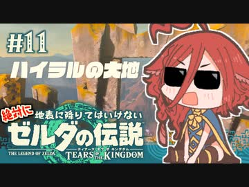 【ゼルダの伝説 TotK】鳥望台攻略の合間に遊びほうけた執政官ちゃん#11