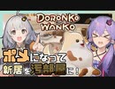 【DORONKO WANKO】ポメラニアンによる劇的ビフォーアフター【単発実況】【結月ゆかり・紲星あかり】