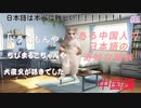 [猫meme]ある中国人の日本語の奇妙な経験(1)
