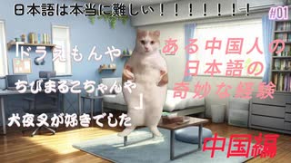 [猫meme]ある中国人の日本語の奇妙な経験(1)