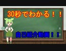 30秒でわかる自己紹介動画