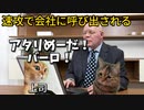 猫ミーム実話　歴代世界一位の大炎上SNS書き込み　＃猫ミーム　＃実話　＃事件　＃SNS　＃炎上