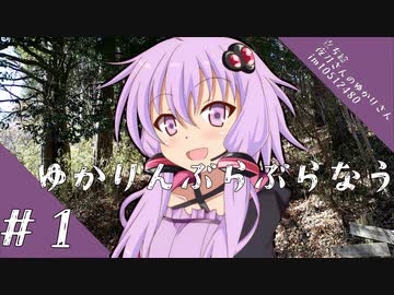 ゆかりんぶらぶらなう#１足柄乗り換え編【VOICEROID旅行】