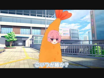 姉の姿か？これが……