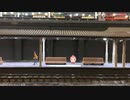 【みこきゅんダンス/ちいみこ】ポポンデッタ アミュプラザ博多店の駅の上で『きゅんきゅんみこきゅんきゅん♡/さくらみこ』 Ver.2【セレガーラ提督/Nゲージ】