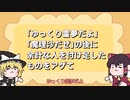 【第四回10秒動画祭】コロモー傑作選「ゆっくりの後に余計な人を付け足したものをアゲて」