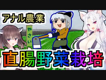 性癖解説～直腸野菜栽培～アナル農法