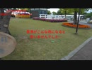 UMAJO？競馬予想「2024天皇賞・春編」