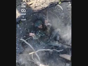 ホモと見る圧迫面接