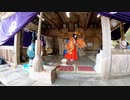 【第258回】春神楽⑨と落ちそうで…とワラビ