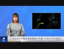 ベルギー下院外交委員長に中国ハッキングされる